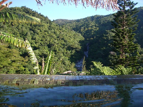 pool rainforest puertorico jungle elyunque jdallen casaflamboyant