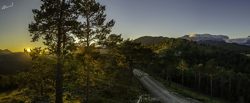 road sunset summer sky orange sun mountain tree forest evening spring huesca wind pic hour aragon pyrenees jaca pirineos hecho jacetania valdecho valledecho