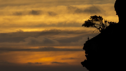sunset newzealand west colour silhouette clouds sunrise coast southisland shag seastack phalacrocorax aristotelis punctatus stictocarbo motukiekie peteprue
