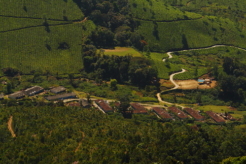 aerial green nationalpark teagardens idukki kerala india ind