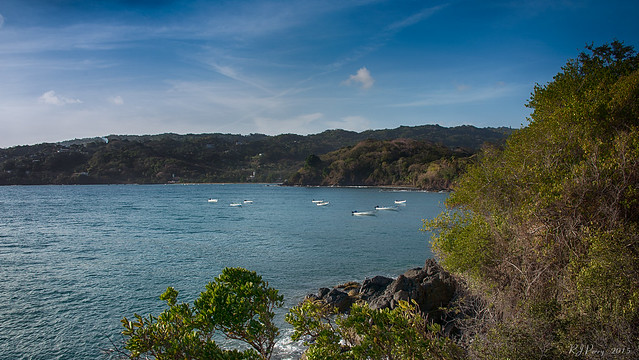 Tobago Scenic View.jpg