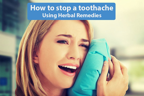 How to stop a toothache: Using Herbal Remedies