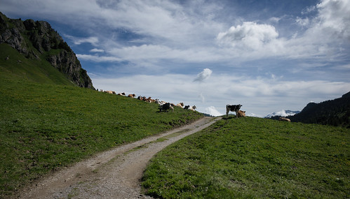 leica sky alps clouds landscape schweiz switzerland europe cows suisse hiking rangefinder bern mp alpen svizzera alp kühe wanderung randonnée 21mm 2015 svizra myswitzerland leicam messsucher 150613 superelmarm stiereberg ©toniv zweisimmenoeydiemtigen m2403759 naturparkdiemtigtal