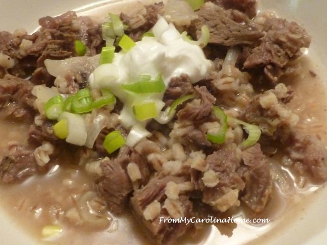 Beef Barley Stew for Two ~ From My Carolina Home