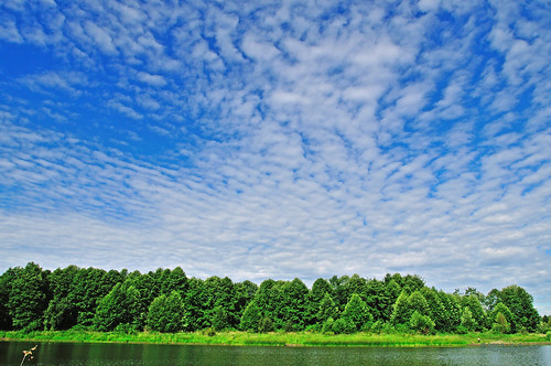 blue trees sky lake canada green nature water grass clouds landscape bc britishcolumbia scenic serene tranquil waterscape nwn lowermainland surreybc surreylake