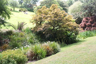 Hillhead, Coleton Fishacre (NT) & Kingswear 067