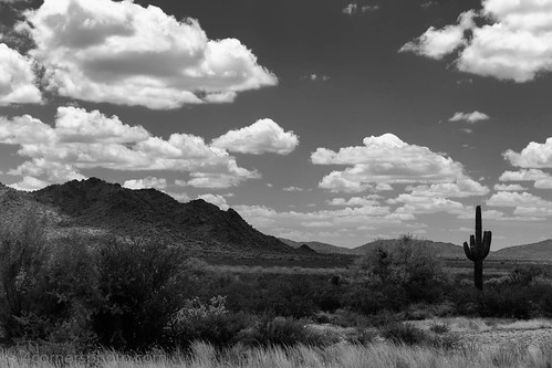 shadow arizona cactus sky blackandwhite mountains weather horizontal clouds rural landscape us scenery unitedstates desert congress vegetation northamerica sonorandesert saguarocactus yavapaicounty 4cornersphoto