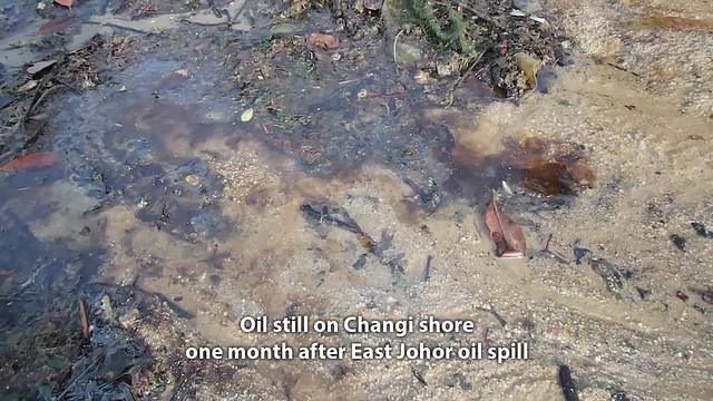 Oil and sheen still on the shore at Changi