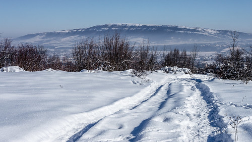 2017 bulgaria d3200 landscape michailovgrad montana nikon pastrina pustrina block bushes city day daylight hill houses mountain nature path season snow view walk winter