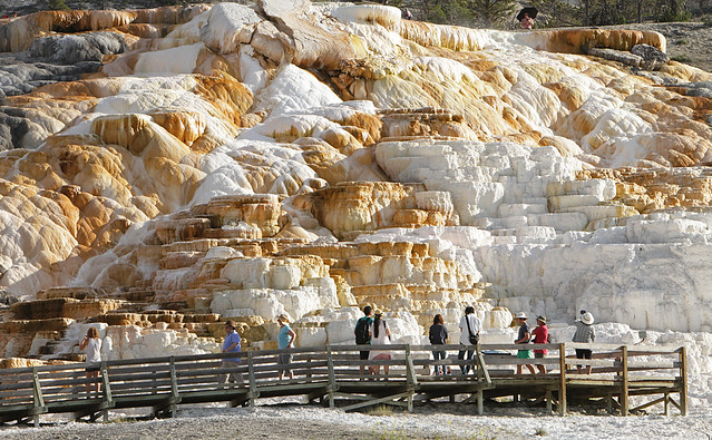 Palette Spring at Mammoth Hot Springs