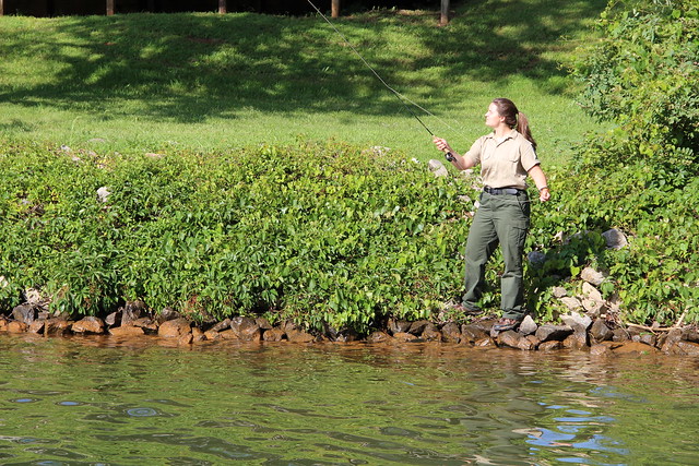 Fly fishing is not just for mountain streams, according to park interpreter Casey Soper at Smith Mountain Lake State Park, Virginia