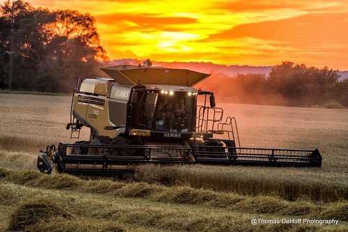 sunset wisconsin wheat sony harvest 740 claas lexion a580