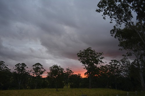 trees winter sunset clouds landscape glow sundown cloudy overcast australia valley nsw paddock ruralaustralia northernrivers rurallandscape sunsetlandscape sunlitclouds australiansunset forestredgum richmondvalley ironpotcreekvalley