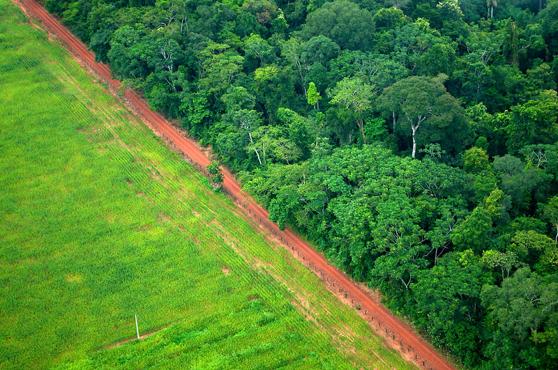 巴西森林砍伐。攝影：Kate Evans。來源：CIFOR via Flickr