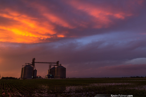 pink sunset red orange storm color water evening illinois colorful purple dusk vivid stormy farmland silos thunderstorm dwight fiery flooded severe soybeanfield kevinpalmer tamron1750mmf28 pentaxk5