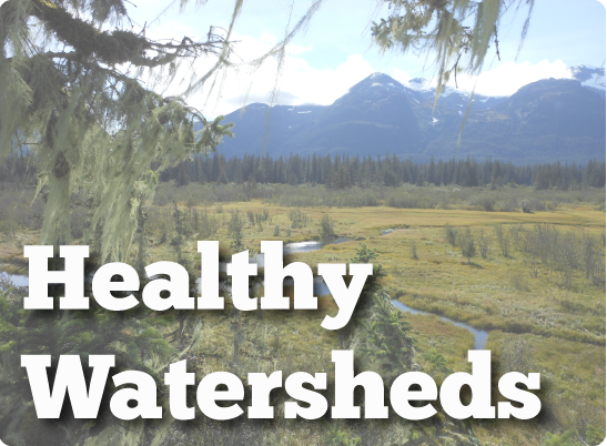 healthy-watersheds