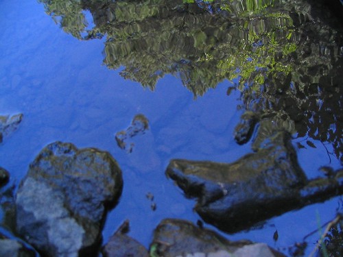 blue summer water creek montana stream land thebigsky dearborn sawmillcreek beautifullandscapes preciousresource bluemontanaset vibrantmontanaset utatablue waterisalive seasonalrhythmssummer warmseason