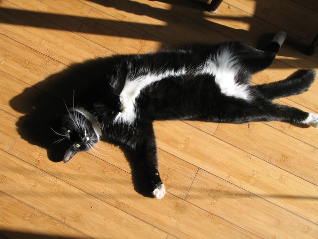 Pilbeam stretching in the sun