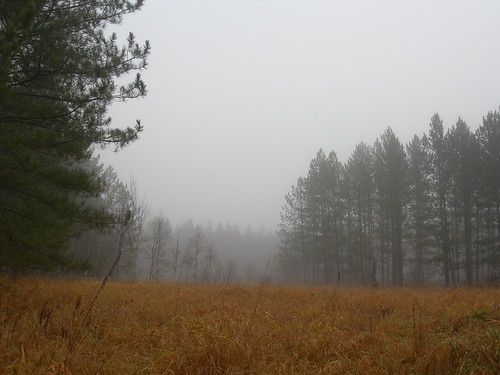 deerhunt2005 landscape fog wallpaper desktop mn seasons minnesota