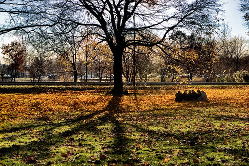 park autumn cambridge boston landscape missing you charlesriver adventure smallsize
