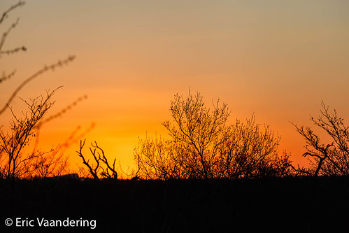 naturalphenomenon sunset time timeofday krugerpark mpumalanga southafrica za