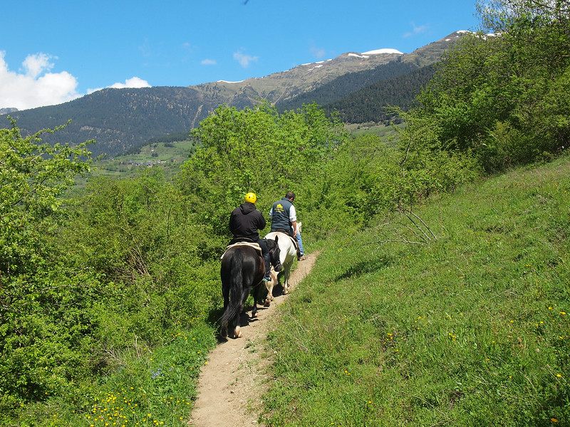 Horseback riding in the Pyrenees