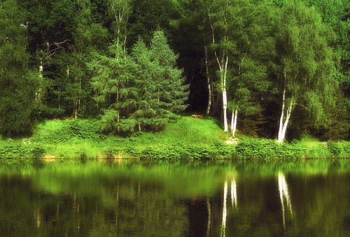 trees light sun lake france green nature grass forest reflections bench landscape soleil spring shadows waterfront fineart lac vert arbres lumiere normandie paysage normandy reflets printemps banc forêt herbe waterscape 17shadows