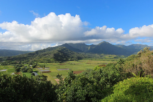 hanalei taro fields view landscape kauai hawaii hi september 2016 valley hill field ハワイ 風景