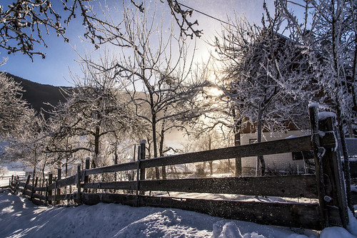 winter morning austria gosau tree snow freeze frost sun sunrise sparkles landscape fence wooden wood sky