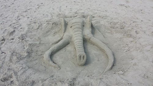 Sleepy Elephant on Sachuest Beach, Newport, RI