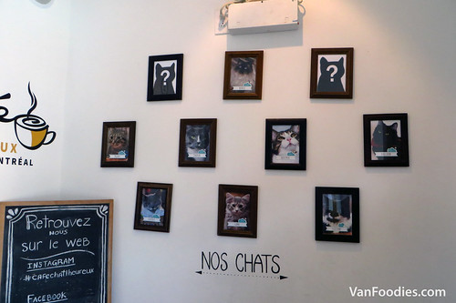 Cafe Chat L'Heureux