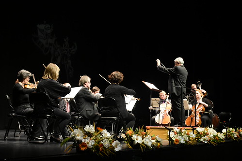 Concierto de Navidad de la Orquesta Camerata Austriaca de Linz