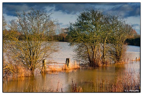 fendrayton floods lakes water cambridgeshire uk england bw blackwhite nikon village