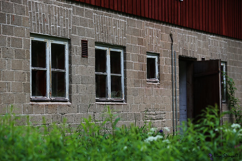 old windows summer broken window barn canon finland eos cow is midsummer cows side country cottage usm visa 6d stenvall visastenvall