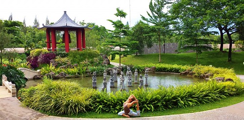 chinese peace garden