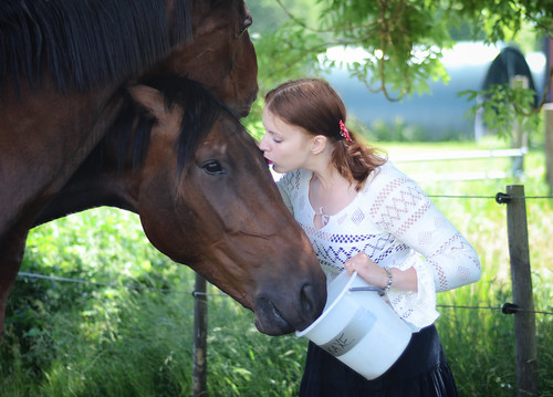 red portrait horses people horse food woman eye love girl face grass animals lady mouth nose bucket kiss kissing feeding sweden bokeh eating top knot lips redhead ear sverige lipstick ponytails intimacy emmelie åbro rockneby enclosement
