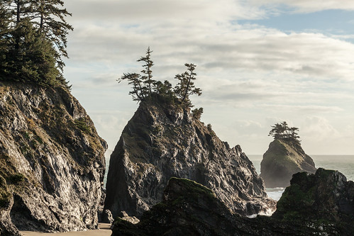 sea ocean stack rock beach spruce outdoor oregon pacific pnw coast shore landscape