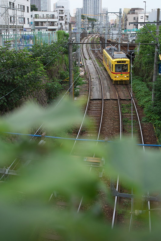 Tokyo Train Story 都電荒川線 2015年7月24日