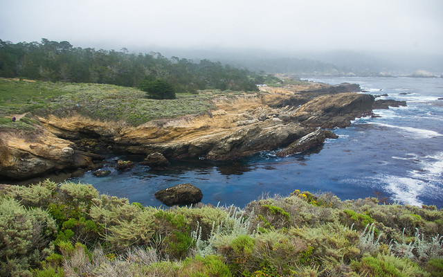 Vista, Point
Lobos