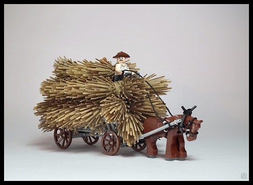 Hay wagon (Poland, XIX-XX c.)