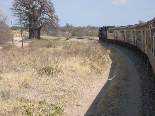 africa tanzania train