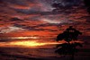 Sunset Palau