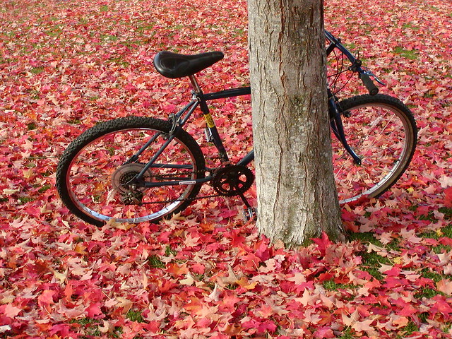 Autumn in Ashland from Flickr via Wylio