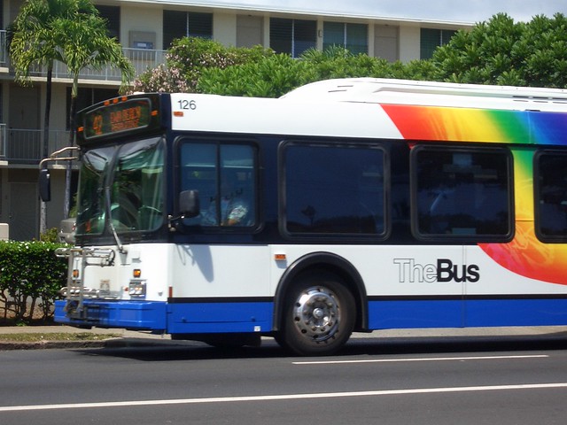 hawaii the bus