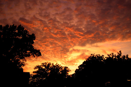 trees sunset sky orange clouds o silhouettes wolken nubes nuvens fav nuages nubi