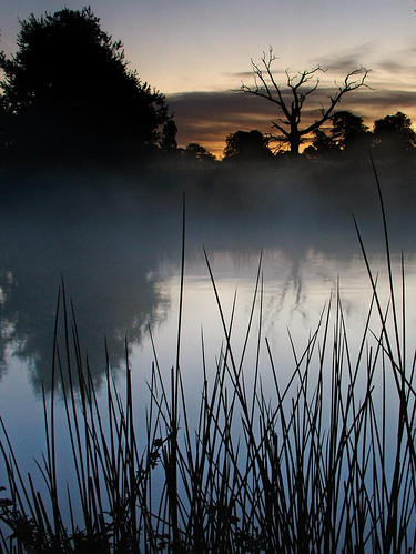 uk england mist lake water sunrise dawn deadtree slough berkshire kevday langleypark chtk
