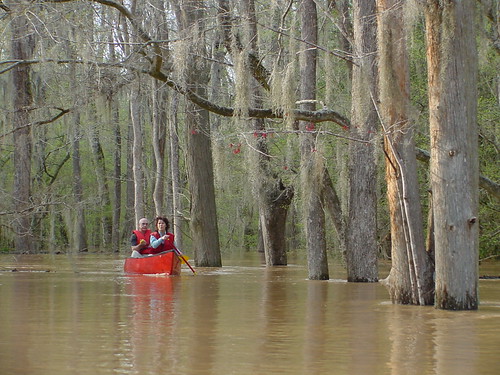 congaree national park swamp monument canoe flood floodplain nature geotagged geolat338149 geolon8082685 nationalpark