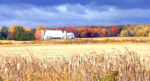 autumn trees red orange field yellow barn catchycolors farm f10 michiganfavorites 110fav farmyard joeldinda