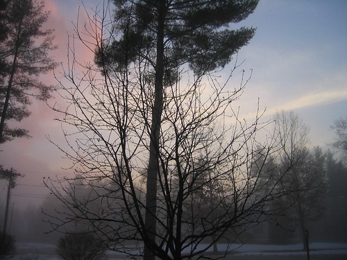 trees sunset sky cloud sun cold tree wet water fog set night clouds bush cloudy dusk over foggy chilly setting bushes chill sets fogged chilled clouded chills bushy foggedover