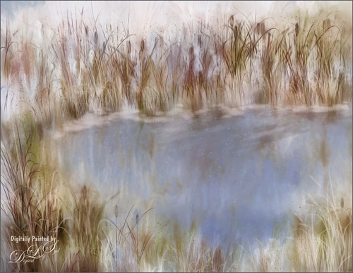 Image of a wintry pond